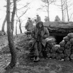 A partir de lt 1951, les oprations changent de nature et le front se dstabilise. Chaque camp se fortifie et se prpare  une guerre longue. Ici, un abri pour un groupe de combat, s.d. (ECPAD, D54-18)