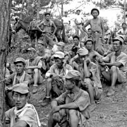 Travailleurs sud-coréens mis à disposition des Français pour l’organisation des positions du BF, le ravitaillement ou l’évacuation des blessés, octobre 1951 (ECPAD, D54-1-78)
