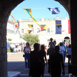 JEP sur le Fort Lamalgue (Toulon) - ©Marine Nationale